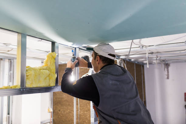 Best Specialty Insulation in Channel Islands Beach, CA