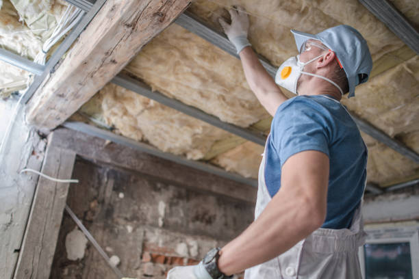 Best Energy Efficiency Solutions in Channel Islands Beach, CA