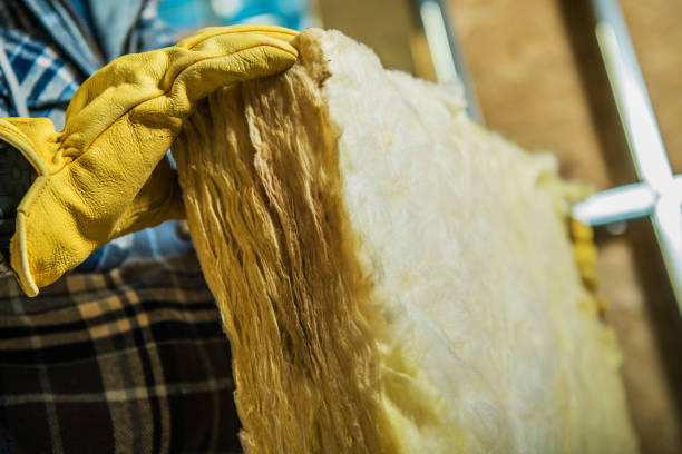 Best Insulation Installation Services in Channel Islands Beach, CA